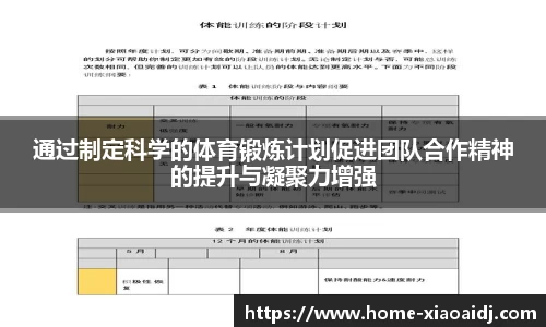 通过制定科学的体育锻炼计划促进团队合作精神的提升与凝聚力增强